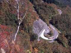 ���R���싽�z���C�g���[�h�̎ʐ^1