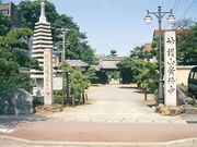 �������̎ʐ^2