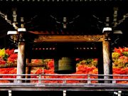 �嗴���̎ʐ^2