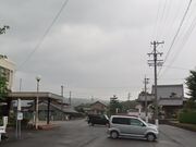 �����@���~�̕楗Ԍ����̎ʐ^3