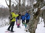 畽Xm[V[n[tf[cA[(V䍂[vEFC)̎ʐ^2