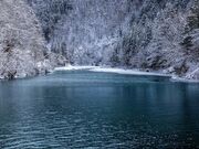 �o�Z�k�J�̎ʐ^4