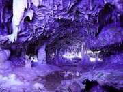 ��ˑ�ߓ����̎ʐ^2