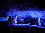 ��ˑ�ߓ����̎ʐ^3