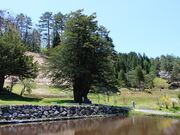 �k��_������ �T�T�����Q���n�̎ʐ^3