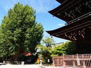 ��ˍ������̑�C�`���E�̎ʐ^2