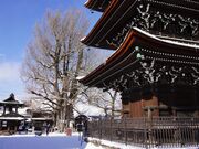 ��ˍ������̑�C�`���E�̎ʐ^3