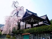 ��@���̈���ɍ��̎ʐ^3