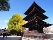 �Ή��R ��ˍ������̎ʐ^1