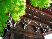 �Ή��R ��ˍ������̎ʐ^2