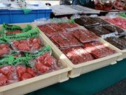 ��ˍ��R�{�쒩�s�̎ʐ^2