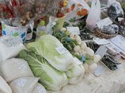 ��ˍ��R�{�쒩�s�̎ʐ^3