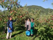 �_���g���@�l�����ɔ_���̎ʐ^2