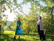 �_���g���@�l�����ɔ_���̎ʐ^3