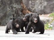 �V��������̎ʐ^3