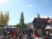 �_��������C���@�̎ʐ^4