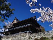 �֑P����(�@�x��)�̎ʐ^4