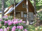 BeGreen���a���̎ʐ^3