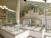 ���Ð쉷��@�N�A���]�[�g���M��̎ʐ^3