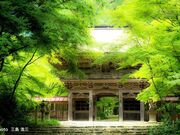 ���c�_�Ђ��݂��J�̎ʐ^2