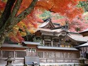 ���c�_�Ђ��݂��J�̎ʐ^3