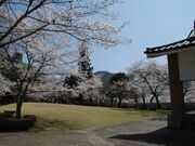 ���q�����i���q�R��Ձj�̎ʐ^3