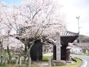 �N����t�̎ʐ^3