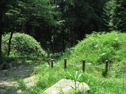 ���R���@���i���̎ʐ^4