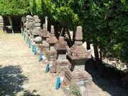 �y�򗊒�̕�̎ʐ^2