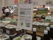 �_�Y�������������Ȃ������Q�̎ʐ^2