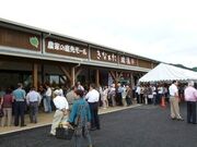 �_�Y�������������Ȃ������Q�̎ʐ^4