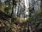 ���[�R�Ԃ̎ʐ^2