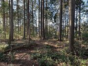 ���[�R�Ԃ̎ʐ^4