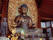 ���ю��̎ʐ^3