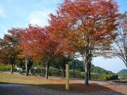 ���Ӄ��[���h�E���[�Y�K�[�f���̍g�t�̎ʐ^4