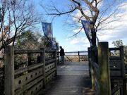 ���q��Ղ̎ʐ^2