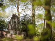 ���q��Ղ̎ʐ^3