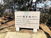 ���q��Ղ̎ʐ^4