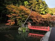 �Ɏ��ǌΔȂ̍g�t�̎ʐ^2