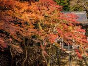 �Ɏ��ǌΔȂ̍g�t�̎ʐ^3