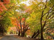 �Ɏ��ǌΔȂ̍g�t�̎ʐ^4