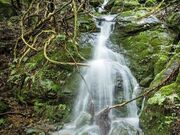 ���_�ЁE�u���{�̑�v�u���m�̑�v�̎ʐ^2