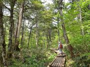 �[�������̎ʐ^2