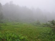 �[�������̎ʐ^3