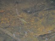 �[�������̎ʐ^4