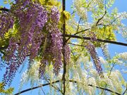 ���]�����̎ʐ^3