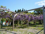 ���]�����̎ʐ^4