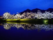 �䏊���̎ʐ^2