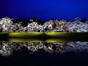 �䏊���̎ʐ^3