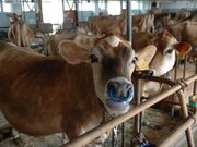 �q�̗̂��̎ʐ^3